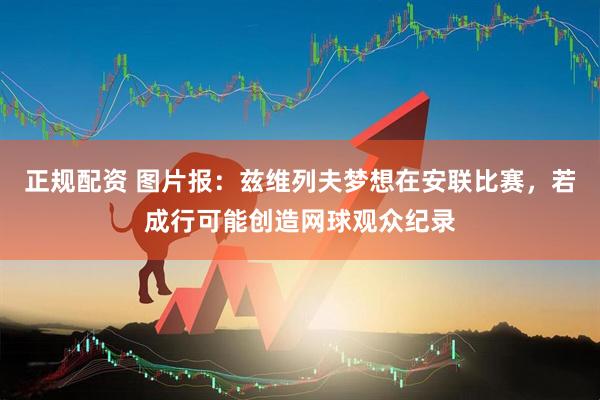 正规配资 图片报：兹维列夫梦想在安联比赛，若成行可能创造网球观众纪录